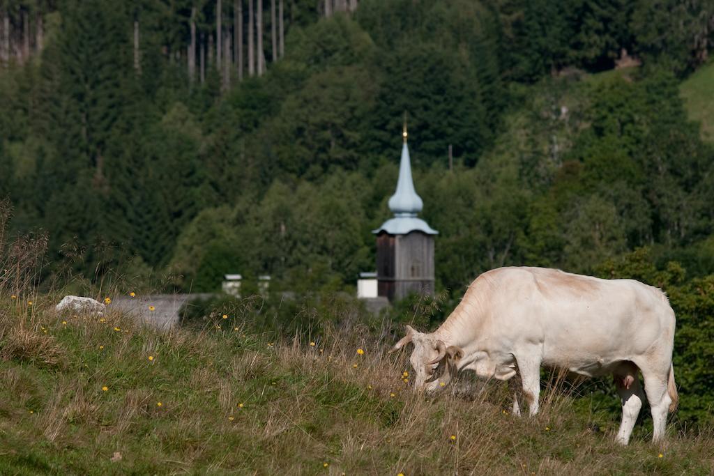 Villa Grundnerhof à Arriach Extérieur photo